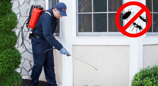 Kiraz Gümüşkurt İlaçlama böcek ilaçlama ve haşere kontrolü — ilaclama-tr.com